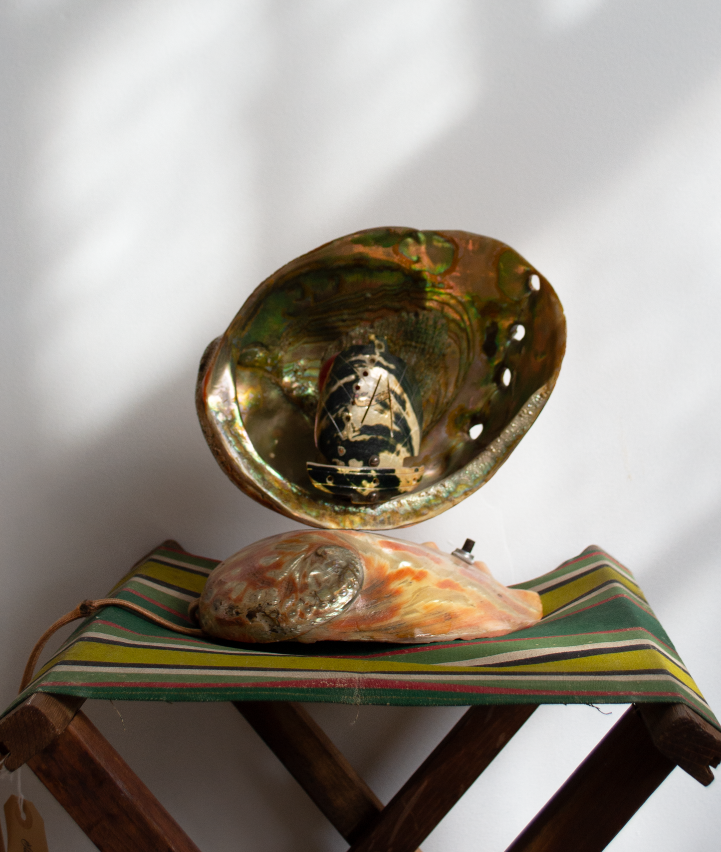Abalone Lamp
