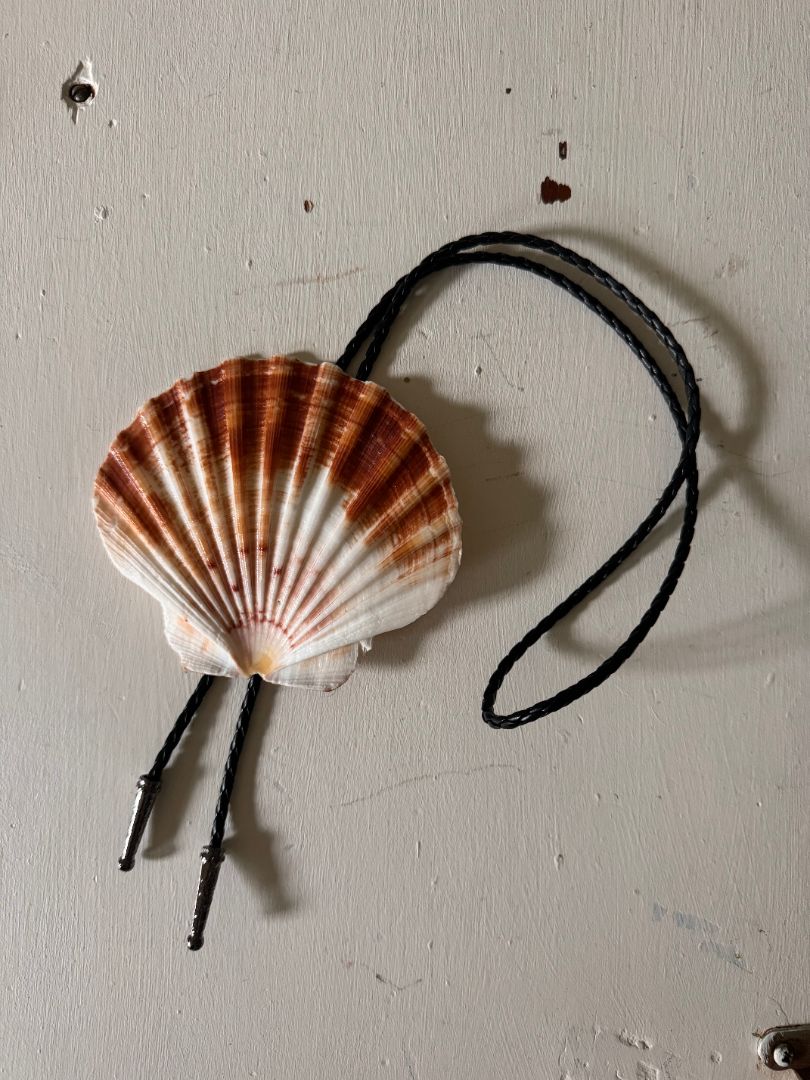 Shell Bolo tie