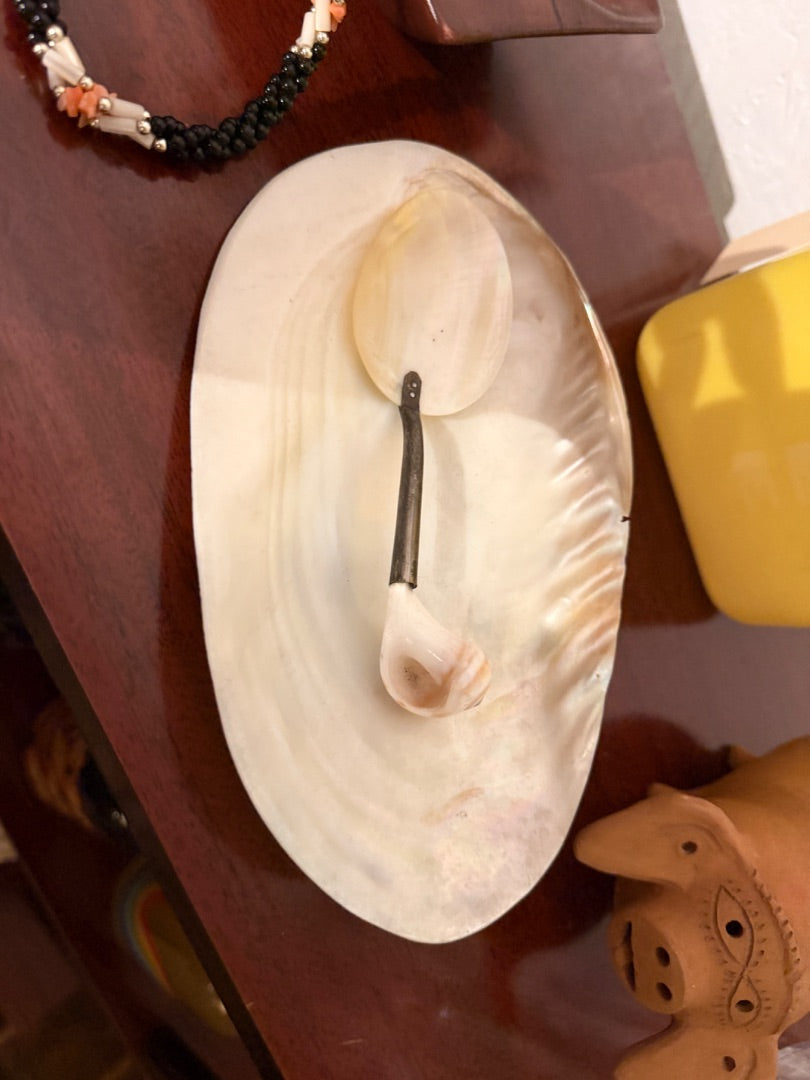 Caviar shell dish and spoon