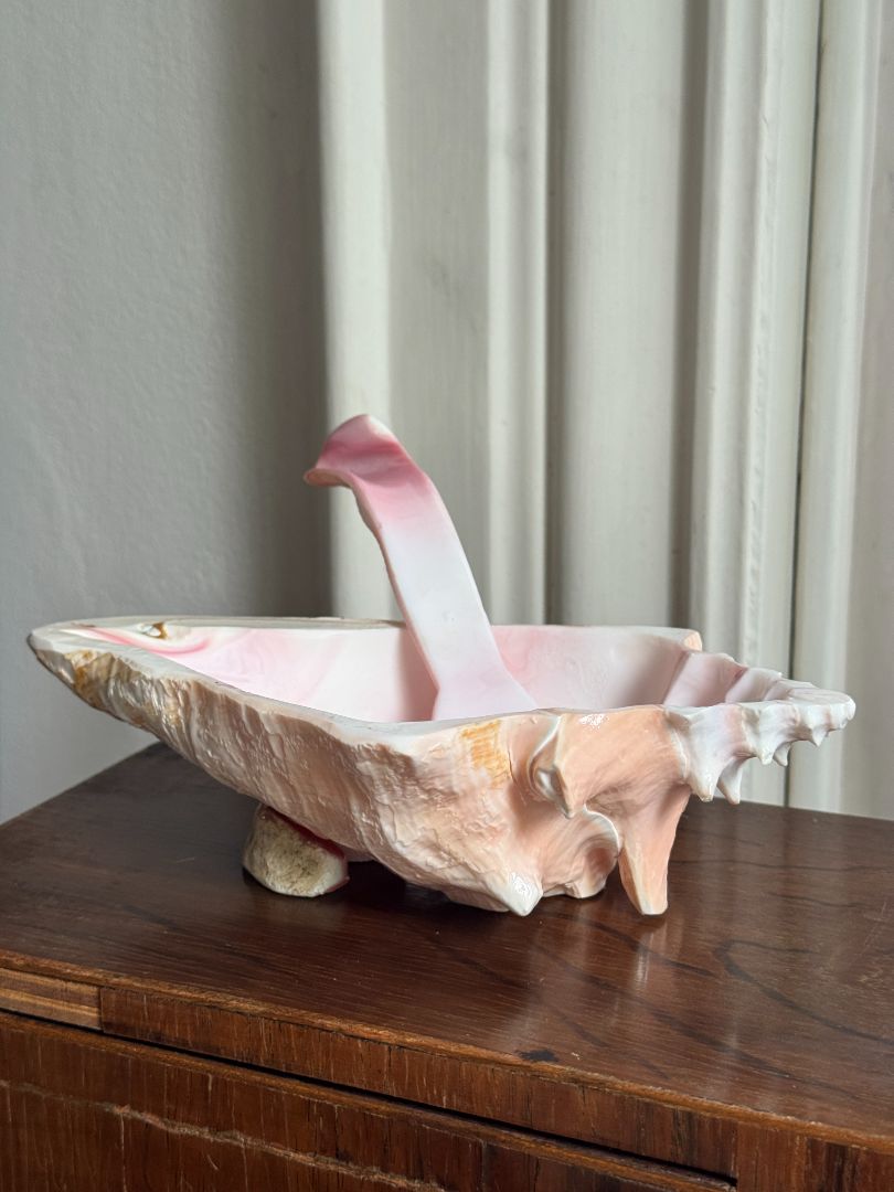 Shell Bowl and Spoon