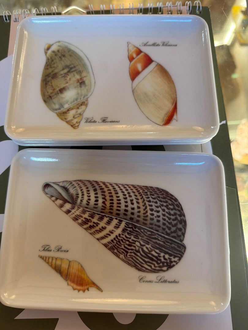 Set of 4 shell trays ~ ITALY