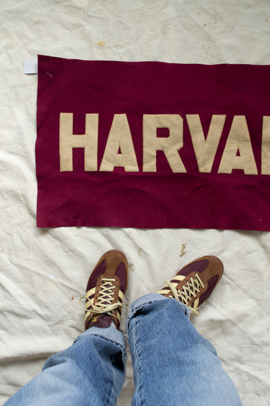 Harvard Banner