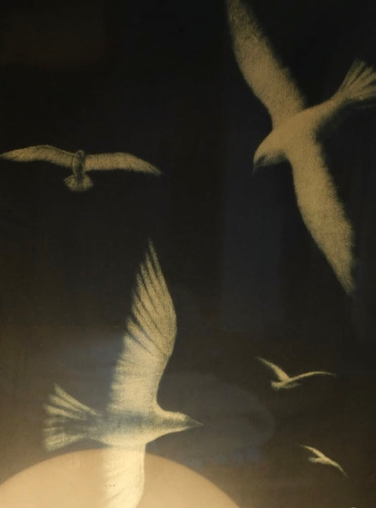 B+W Seagull Print