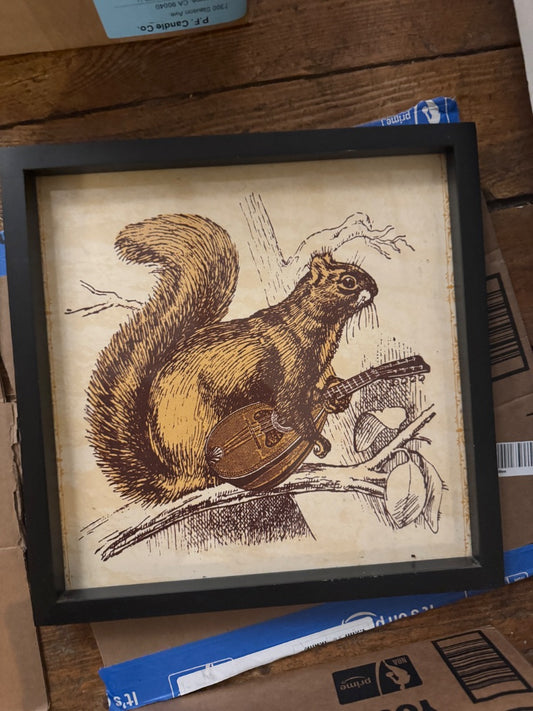 Framed squirrel with mandolin screen print