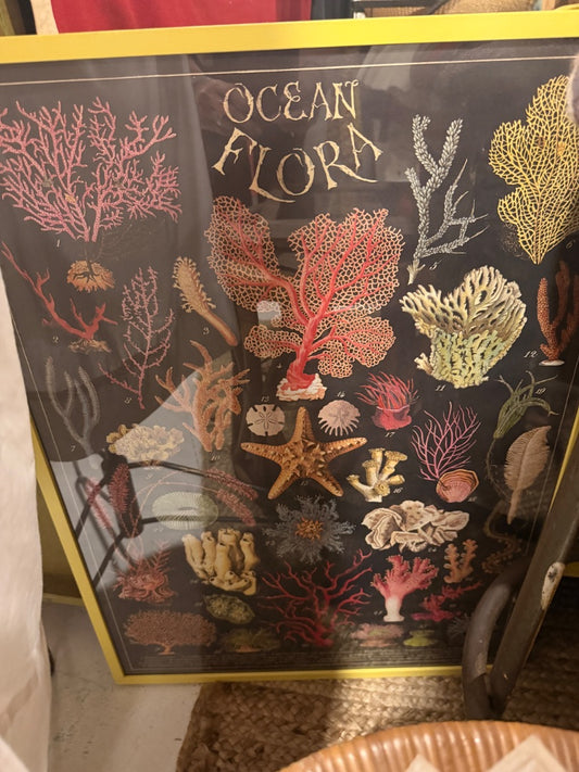 Ocean flora poster