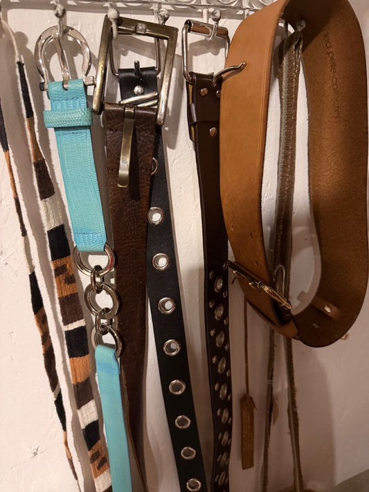 Brown belt silver rivets