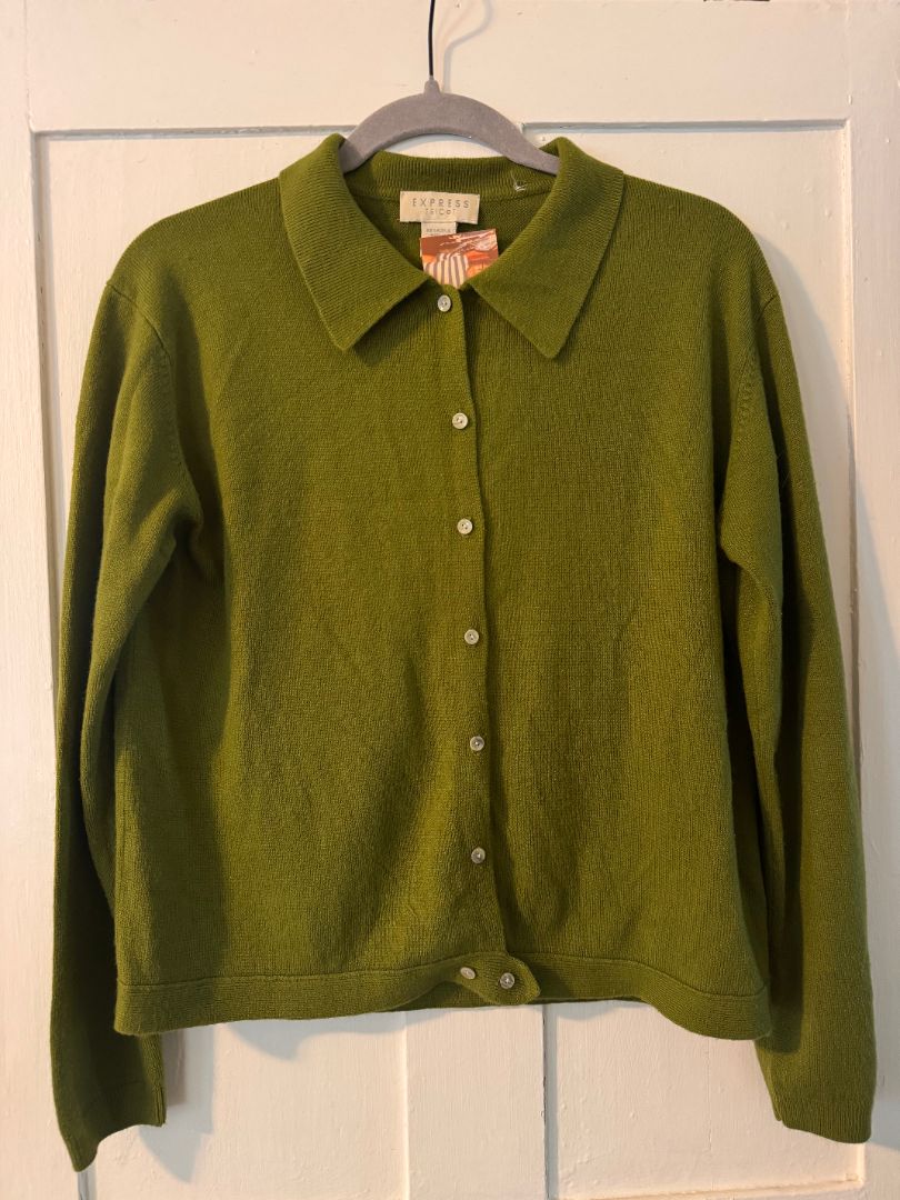 Express Tricot green collared sweater, Large