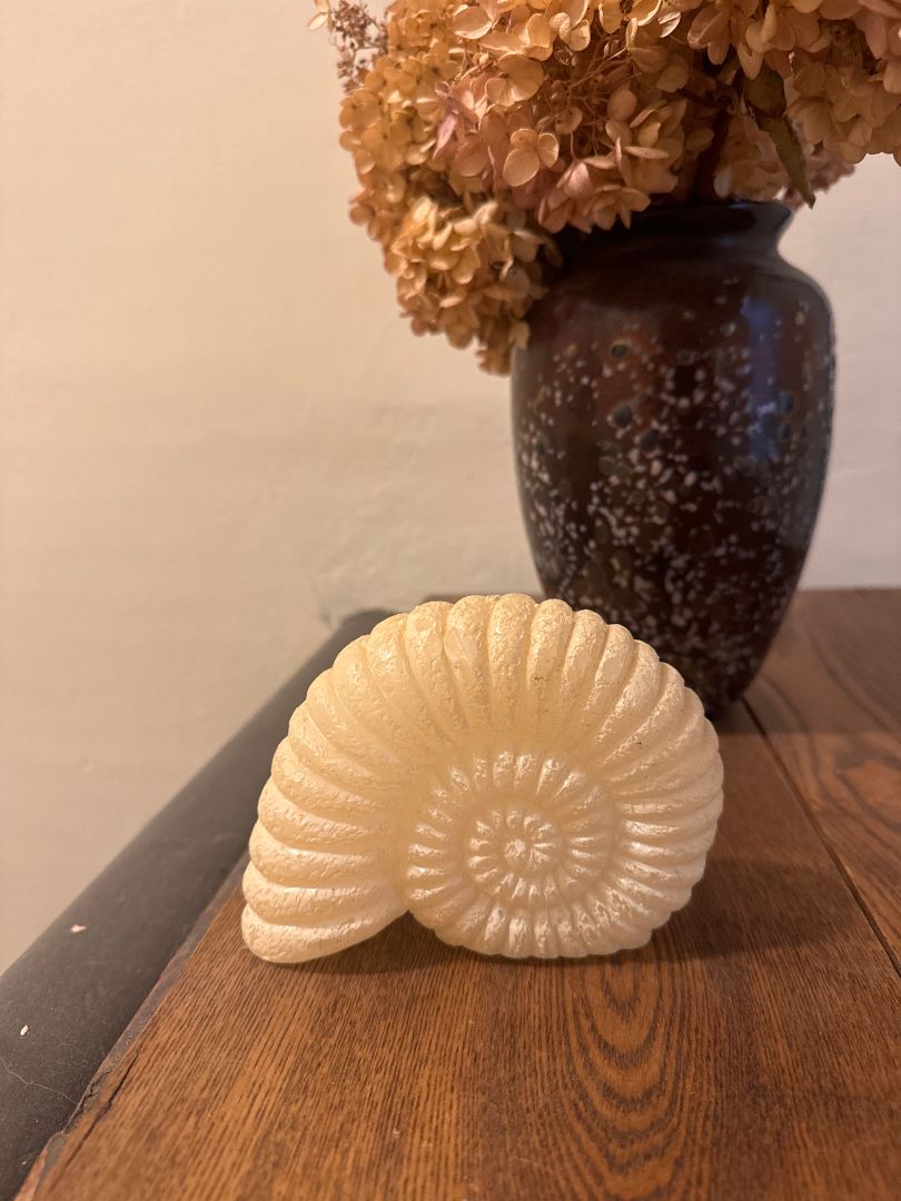Shell Candle