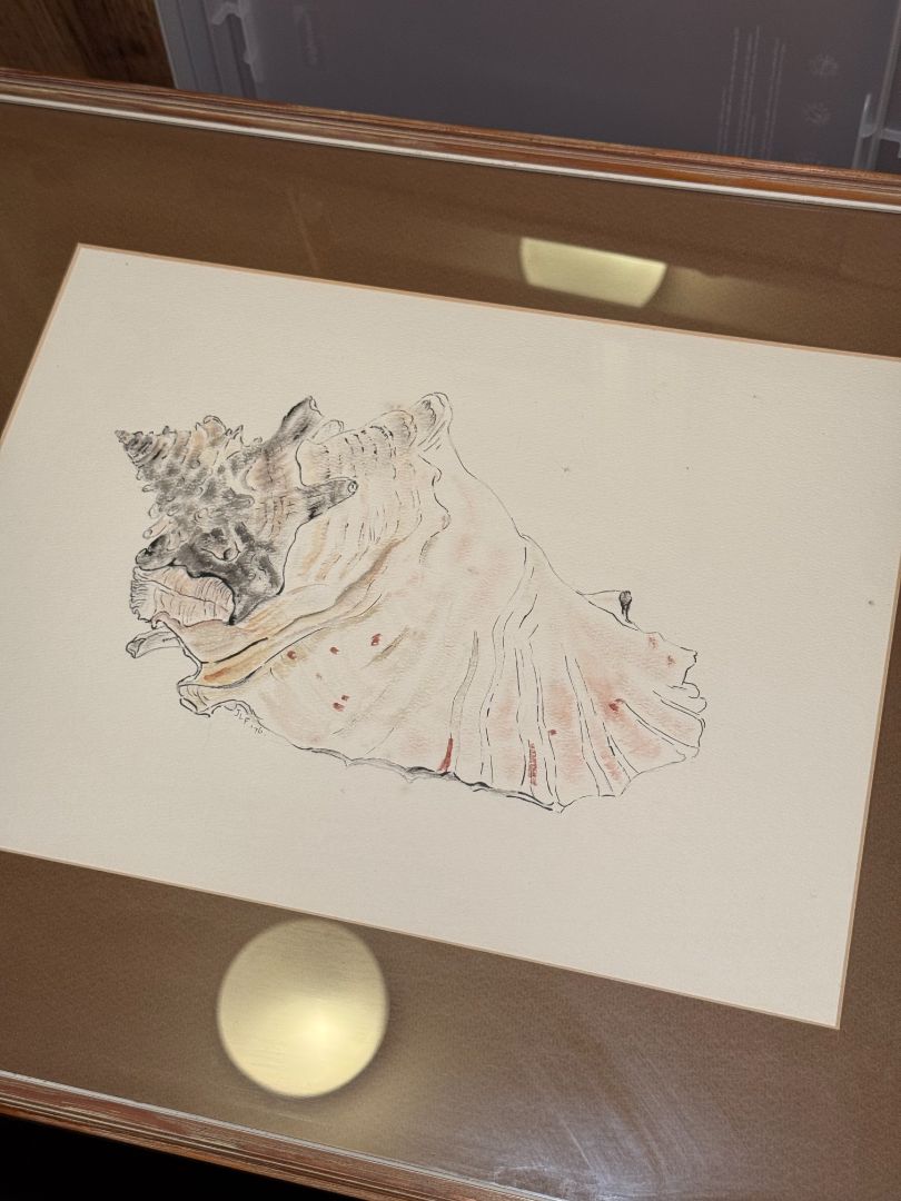 Seashell Watercolor
