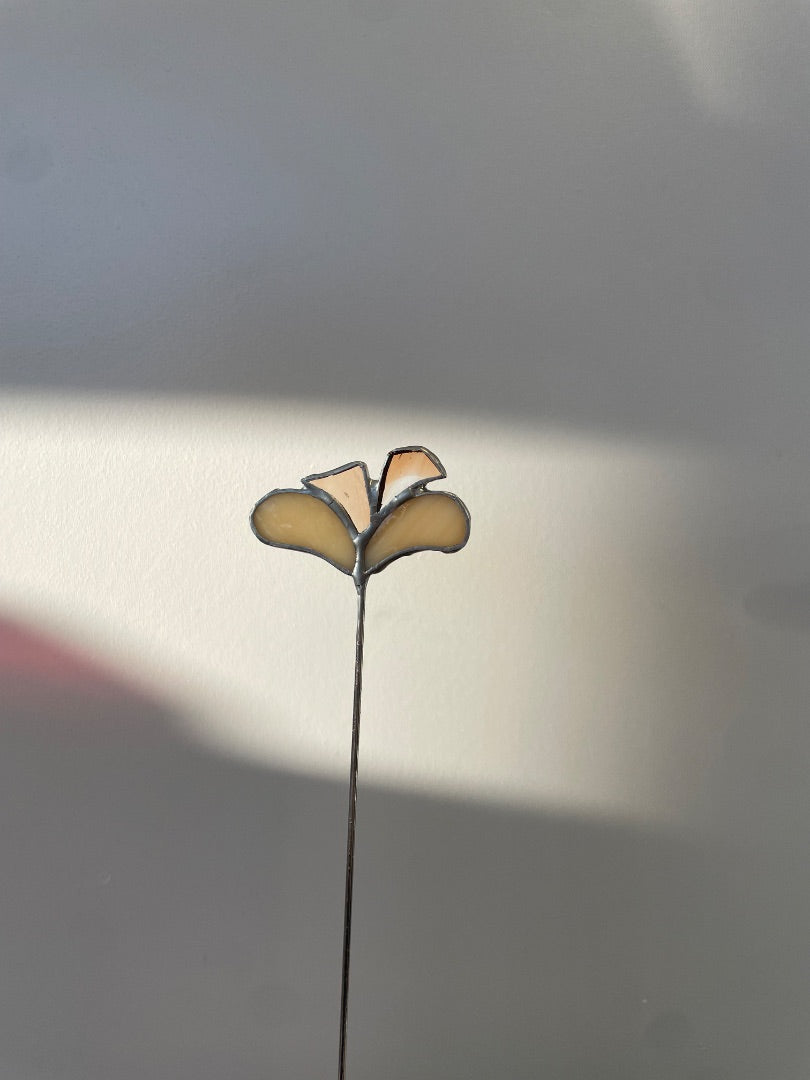 Isabel’s Glass art: new