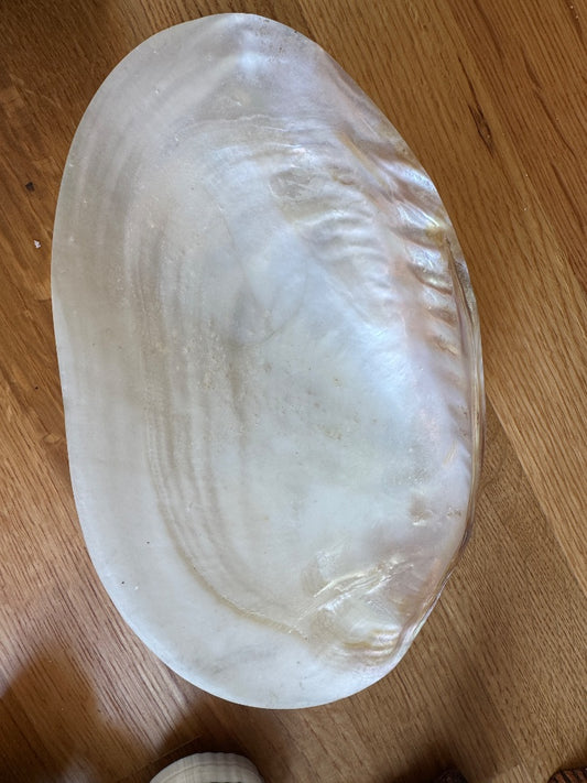 Lg shell tray ‘as is’