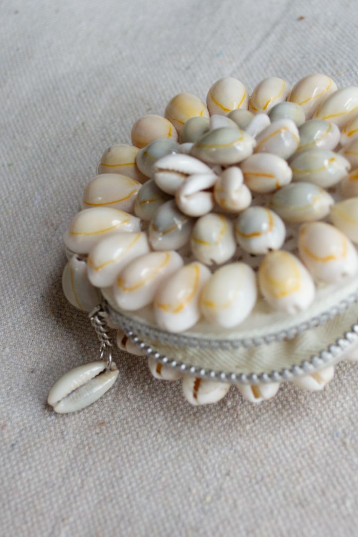 Shell Coin Purse