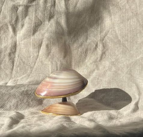 Shell Trinket Box, 1930s