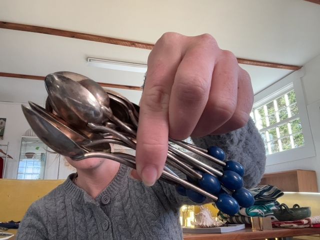 Silver & Cobalt Spoon