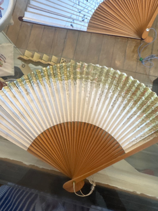 Vtg fan