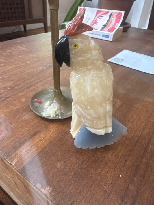 Alabaster parrot