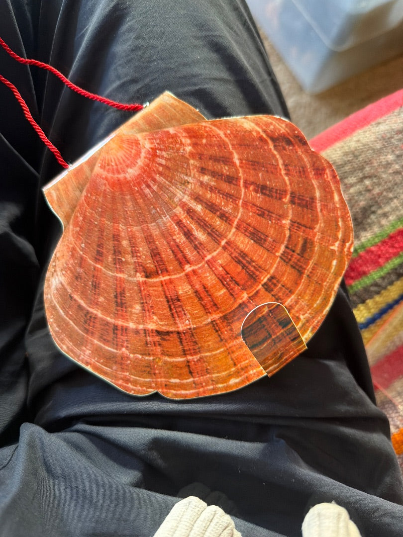Portuguese shell book