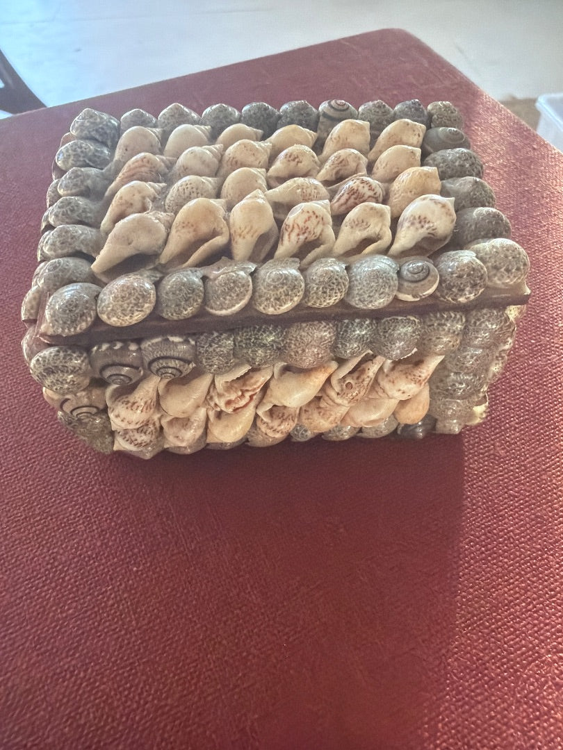 Shell trinket box accessories