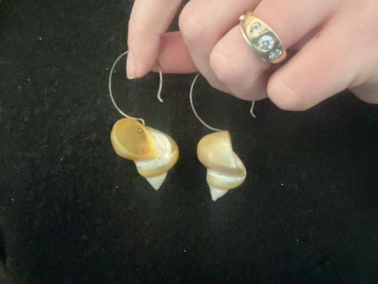 Shell Earrings