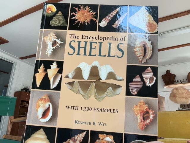 Shell Encyclopedia 1991