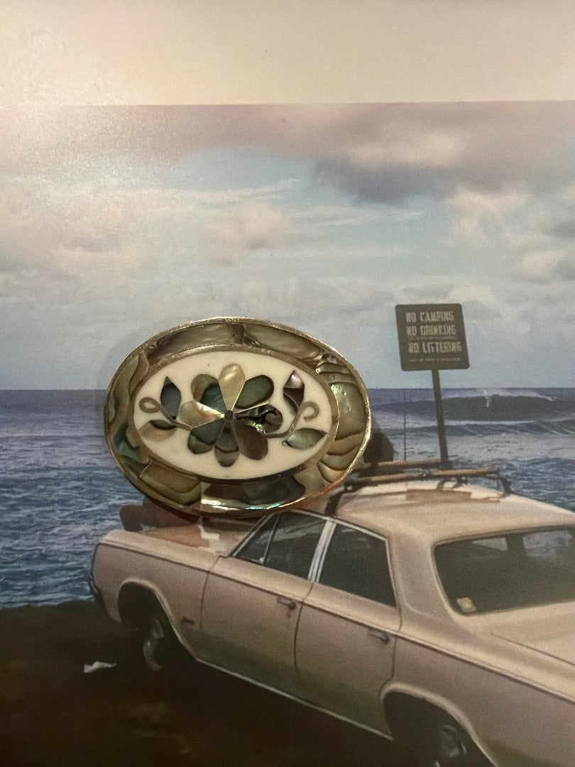 Alpaca abalone brooch MX