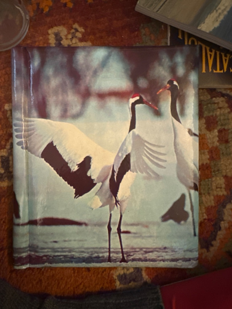 Vtg photo album