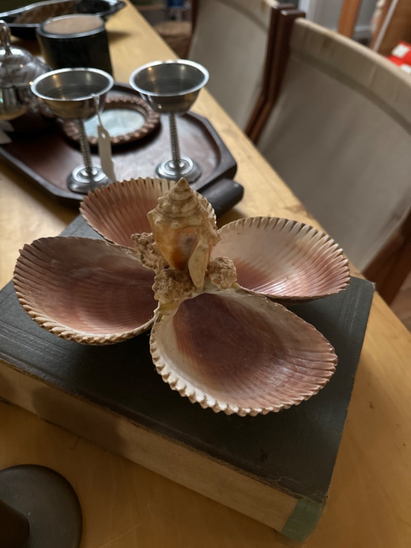 Vtg shell art