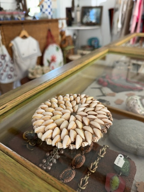 Shell coaster