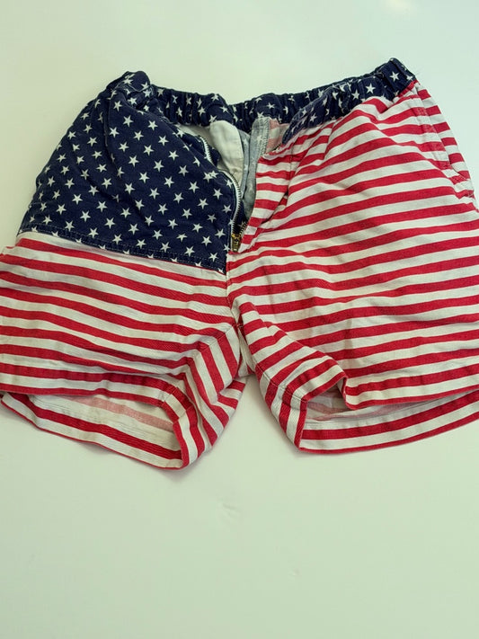 Multi Chubbies 'Merica Chubbies Shorts IYKYK, M